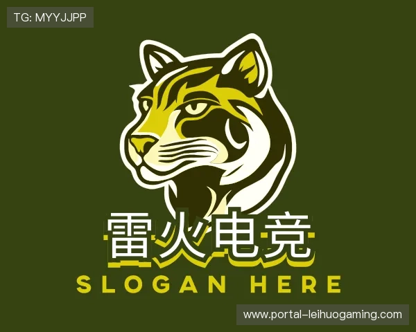 解读雷火电竞团队